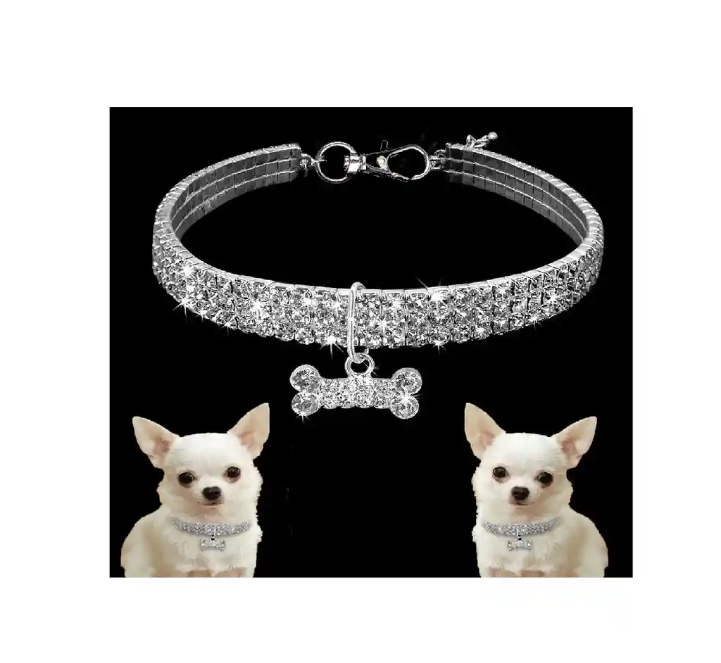Collar Huesito Imitacion Diamantes Para Perros Y Gatos L Colores Variados - Pa67l