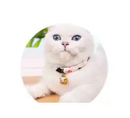 Collar Estilo Kimono M - Pa27m