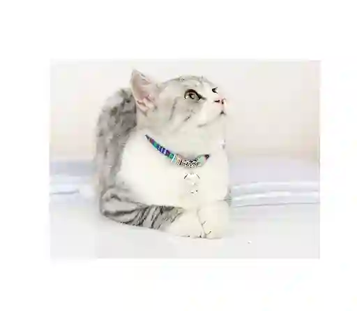 Collar Estilo Chino L - Pa65l