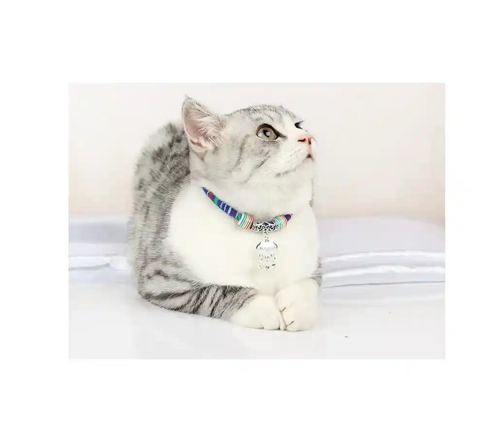 Collar Estilo Chino L - Pa65l