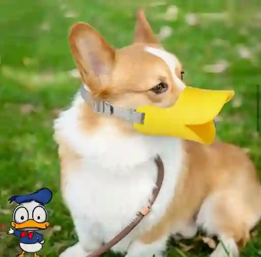 Bozal Pico De Pato Bozal Para Perro Pequeño Talla S (tomar Medidas)