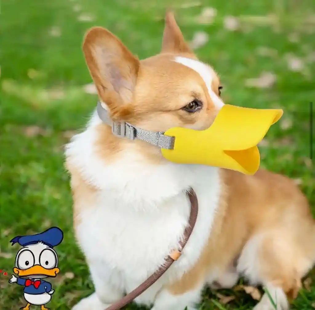 Bozal Pico De Pato Bozal Para Perro Pequeño Talla S (tomar Medidas)