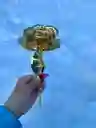 Flor Bañada En Oro