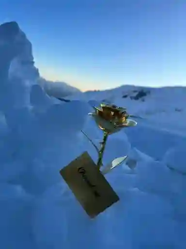 Flor Bañada En Oro