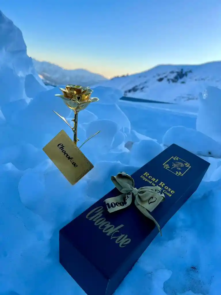 Flor Bañada En Oro