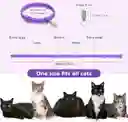Collar Calmante Para Gato Ansiedad Y Estrés