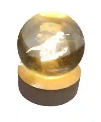 Esfera De Cristal Con Diseño De Dinosaurio