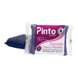 Esponja Ollas Y Pariilas