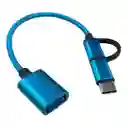 Cable Convertidor Otg De Tipo C/micro-usb Gp-120
