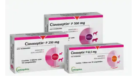 Clavaseptin 500 Mg Amoxicilina + Acido Clavulanico