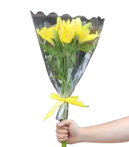 Lirio Amarillo
