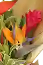 Bouquet De Flores Exoticas
