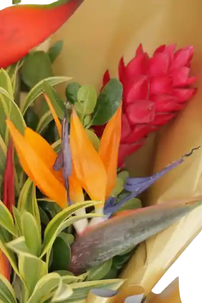 Bouquet De Flores Exoticas