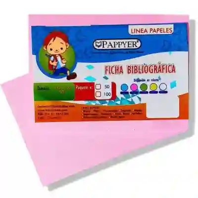 Paquete Ficha Bibliografica Cartulina Rosada X50und