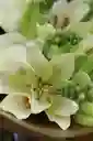 Bouquet Serenidad