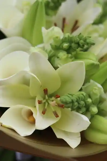 Bouquet Serenidad