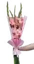 Bouquet Espada Floral
