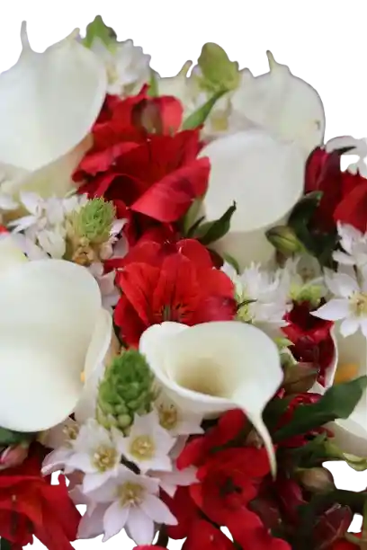 Bouquet Luz Y Fuego