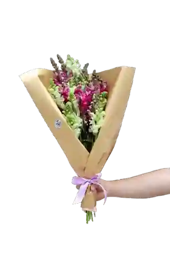 Bouquet Dragón Floreado