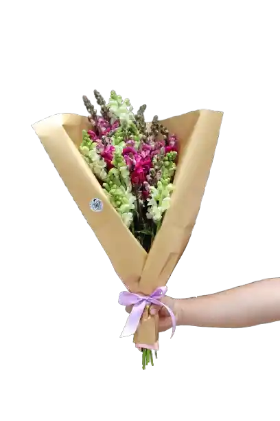 Bouquet Dragón Floreado