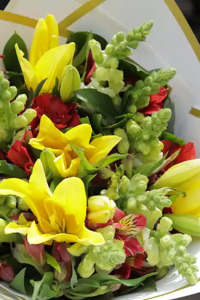 Bouquet Summerboy