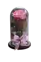 Rosa Eterna Lila