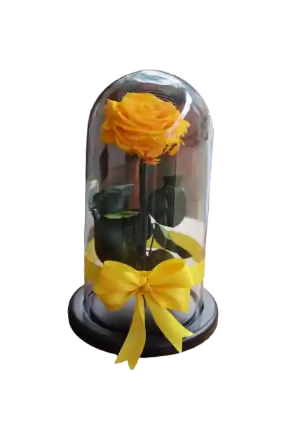 Rosa Eterna Amarilla