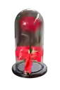 Rosa Eterna Roja