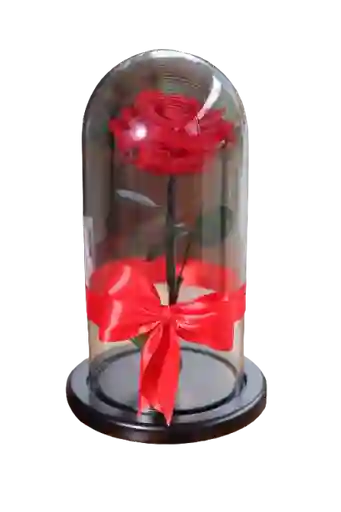 Rosa Eterna Roja