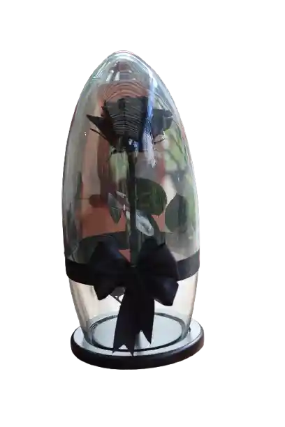 Rosa Eterna Negra
