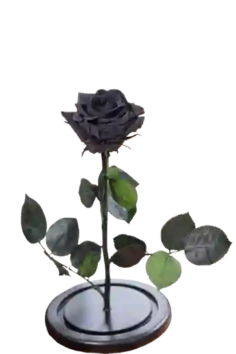Rosa Eterna Negra