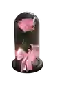 Rosa Eterna Rosada