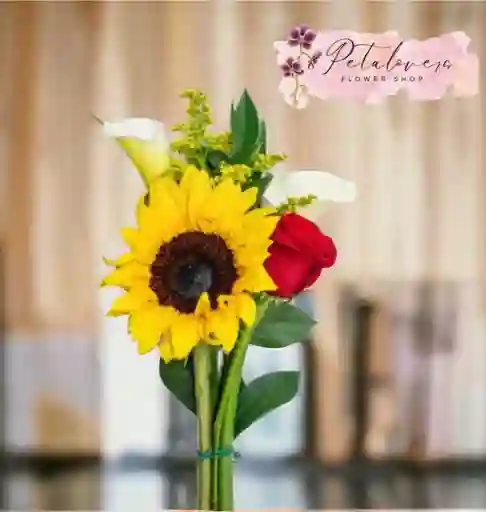 Girasol Y Rosa Con Cartuchos