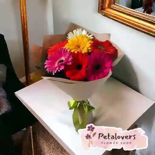 Flores Gerberas