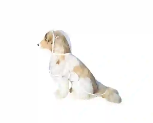 Impermeable Transparente - Pa46m