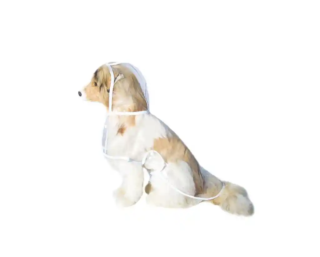 Impermeable Transparente L - Pa46l