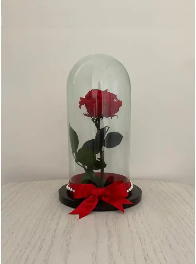 Rosa Roja Preservada O Eterna