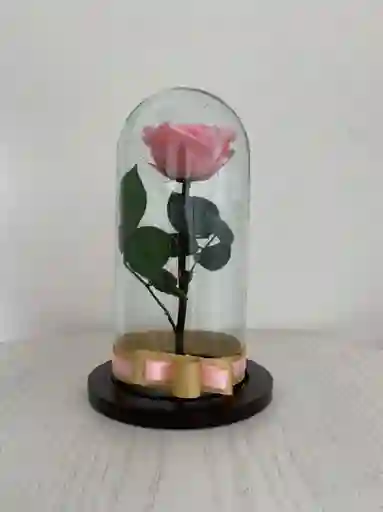 Rosa Eterna Rosada