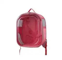 Morral Transparente Colores Surtidos Tamaño 45x35x25 Cm