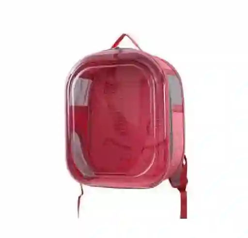 Morral Transparente Colores Surtidos Tamaño 45x35x25 Cm