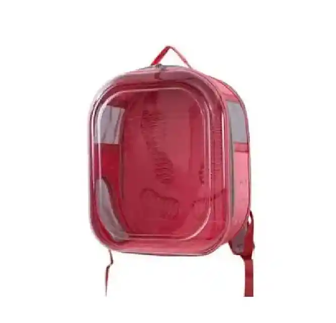 Morral Transparente Colores Surtidos Tamaño 45x35x25 Cm