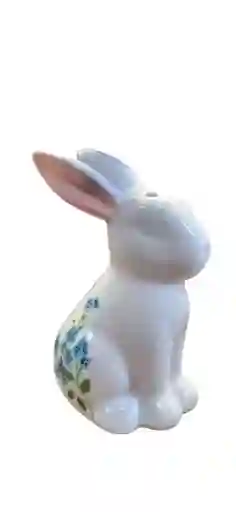 Condimentero De Cerámica Y Porcelana Con Diseño De Conejito X2