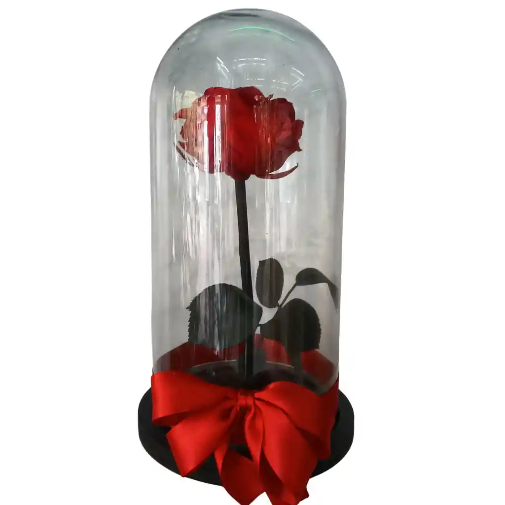 Rosa Eterna Roja