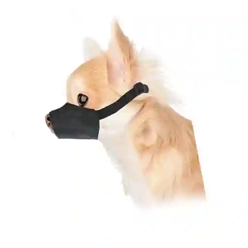Bozal En Lona Para Mascota Talla Xs