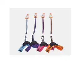 Trailla Y Arnes Premium M Colores Variados - Pa82m