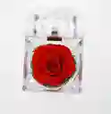 Mini Rosa Eterna En Cofre Porta Anillos – Detalle Encantador