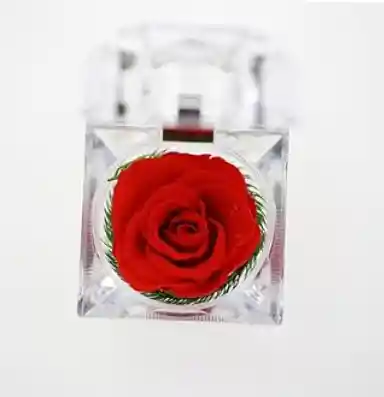 Mini Rosa Eterna En Cofre Porta Anillos – Detalle Encantador
