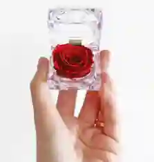 Mini Rosa Eterna En Cofre Porta Anillos – Detalle Encantador