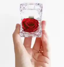 Mini Rosa Eterna En Cofre Porta Anillos – Detalle Encantador