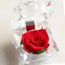 Mini Rosa Eterna En Cofre Porta Anillos – Detalle Encantador